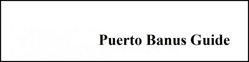 Puerto Banus property